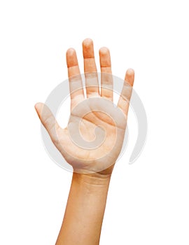 Voting hand isolated on white