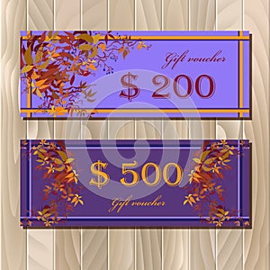 Voucher, Gift certificate, Coupon template for invitation, banner, ticket.