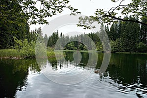 Vrbické jazero najobľúbenejšie miesto v Demänovskej doline