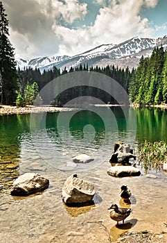 Vrbické jezero v Tatrách. Slovensko