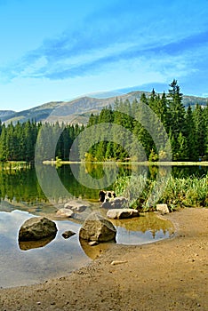 Vrbicke pleso Vrbicke mountain lake Low Tatras Slovakia 2