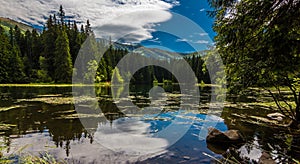 Vrbicke tarn reflection