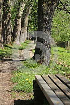 Vrelo Bosne is a park located in IlÄ±ca municipality of Bosnia and Herzegovina.