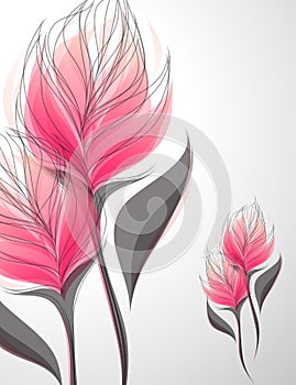 Vriesea. Vector illustration.