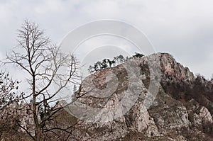 Vrsatec rocky mountain in Slovakia