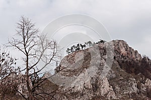 Vrsatec rocky mountain in Slovakia