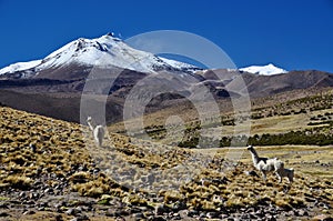 Vulcan Parinacota photo