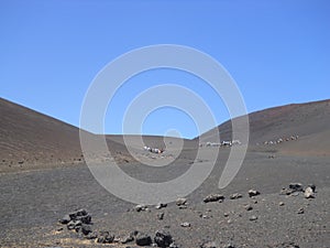 Lanzarore Canarie photo