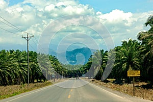 Vulcano Arenal, Costa Rica photo