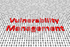 Vulnerability management