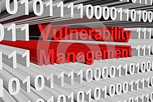 Vulnerability management photo