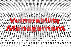 Vulnerability management photo