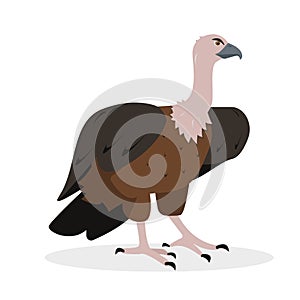 Vulture bird icon isolated on white background.