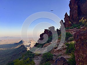 Vulture Circling Vulture Peak, Near Vulture Mine & Wickenberg, Arizona photo