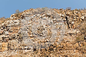 Vulture Gorge Botswana Africa