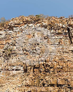 Vulture Gorge Botswana Africa