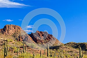 Vulture Peak, in Arizona's Sonoran desert.