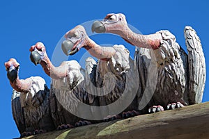 Sculpture of nasty vultures sitting on a plank and watch