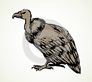 Vulture. Vector drawing icon sign