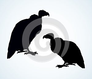 Vulture. Vector drawing icon sign