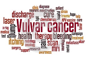 Vulvar cancer word cloud concept photo