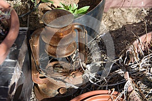 Vuntage rust and brocken kerosene lamp on backyard