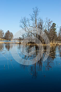 Vuoksi river spring landscape