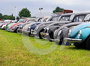 VW beetle meeting