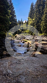 Vydra river in Sumava