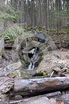 Vydra side stream, Å umava, Czech Republic.