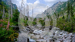 Vysoké Tatry, výhled na Vysoké Tatry na Hrebienku, Starý Smokovec, v létě. Vysoké Tatry, Slovensko