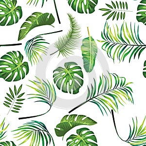 Tropical leafage design pattern photo