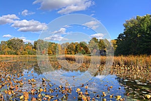 W.W. Knight Nature Preserve