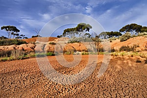 WA Balladonia Arid Soil Red