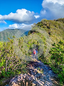 Waahila Trail to Mount Olympus on Oahu Hawaiian island