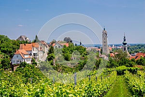 Wachau Valley Vineyards in Austria on the bank of Donau river