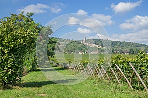 Wachenheim,german Wine Route,Germany