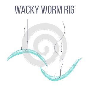 Wacky worm fishing rig for bass