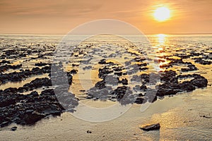 Wadden coast twilight with swallow landscape