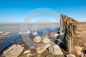 The wadden sea