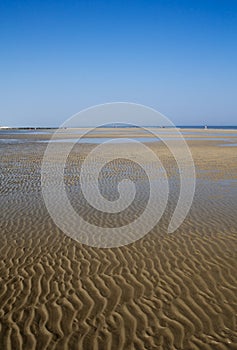 Wadden Sea photo