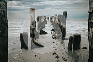 Wadden Sea Coast and wooden pillars in the sea. Old wooden pier on a cloudy day.sea photo wallpaper. Low tide time