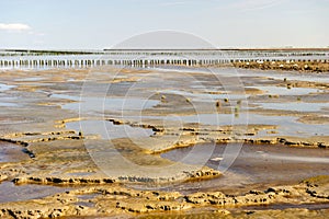 Wadden sea in Holland photo