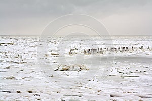 Wadden sea with ice floes