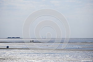 Wadden Sea.Silhouettes of people on the beach.Fer Island.Frisian Islands of Germany. walking on watt dunes.Walks along