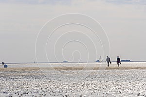 Wadden Sea.walking on watt dunes.Walks along the sandy bottom of the wattled North Sea of Germany.Fer Island. vacation