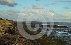 Waddendijk photo