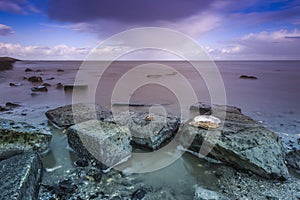 Waddengebied Lauwersoog, tidalflats Lauwersoog