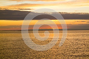 Waddensea with coastline of island Texel and swimming seal at sunset, Netherlands