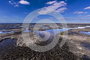 Waddenzee, Nederland; Waddensea, Netherlands